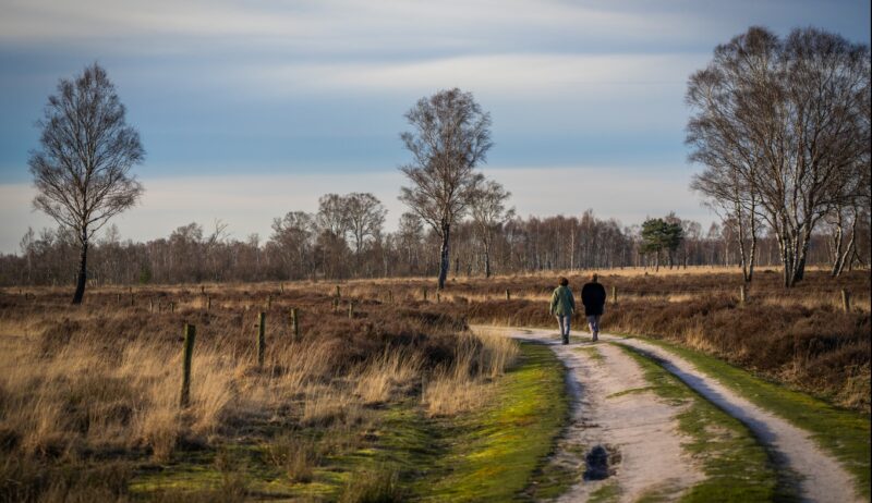 Nationaal park de grote Peel